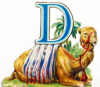Dromedary by Unknown artist
