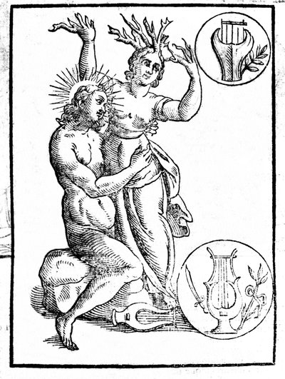 Daphne pursued by Apollo is transformed into laurel. Engraving in 