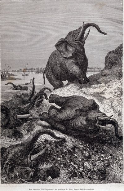 Elephants climbing the bank of a river, in account of an expedition to Central Africa commissioned by Sir Samuel White Baker, “Tour du monde” by Unknown artist