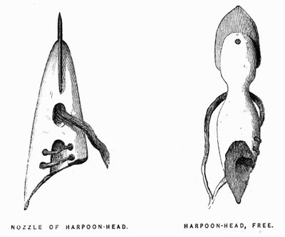 Eskimo Harpoons - Elisha Kent Kane, Arctic Exploration in Years 1853-1855, Philadelphia, Childs and Peterson by Unknown artist