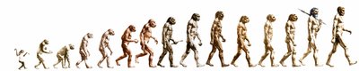 Evolution: Comparison of morphologies from the monkey to the present man by Unknown artist