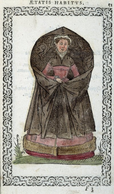 Flemish Demoiselle - in 