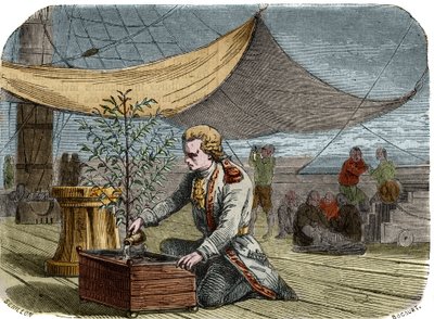 History of the cafe: Captain Gabriel de Clieu (Declieux, Desclieux) (1687/1678- circa 1774), commissioned by King Louis XIV in 1725 to bring back to Martinique a coffee plant (coffee maker), shares with him his ration of water to save him from drying by Unknown artist