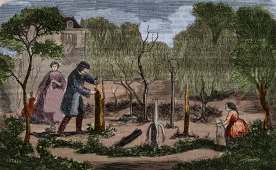 Horticulture: main methods of plant transplantation. 1860 engraving. by Unknown artist