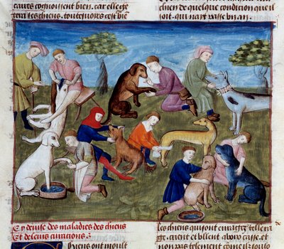 How to Cure Hunting Dogs for Diseases and Injuries, miniature from 