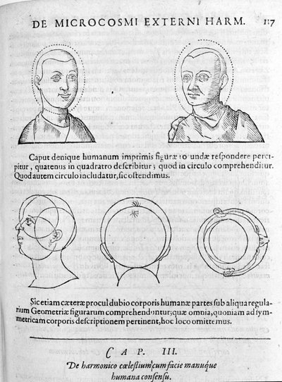 Image of physiognomy from 