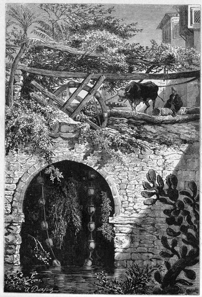Irrigation in Egypt: An Ox Rotates a Wheel with Buckets. Engraving in 