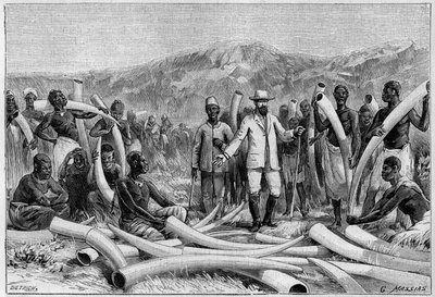 Ivory in Africa: Elephant Defenses Collected by Emin Pasha by Unknown artist