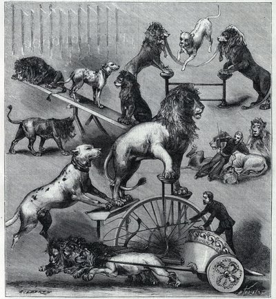 The dressed lions of the Nouveau Cirque in Paris: different tricks of an acrobatic number with lions, tamers and dogs. Engraving in 