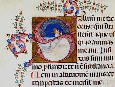 Lettrine S: David in the Deep Light - Antiphonary of the 15th Century. Municipal Bibl. of Rimini by Unknown artist