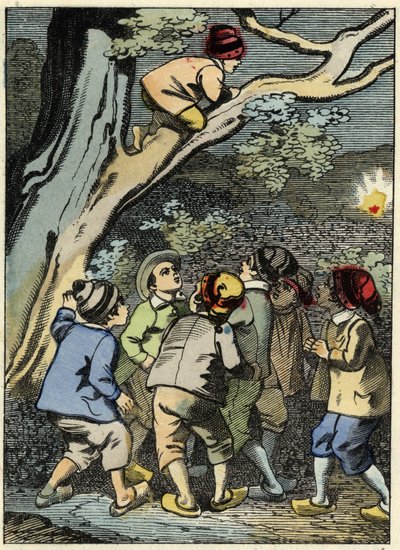 Little Poucet climbs on a tree and looks for his way. He