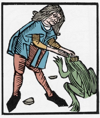 Man extracting the Toadstone, for magical purposes - Engraving 1491 in 