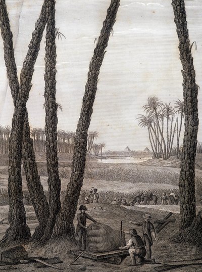 Memphis, view of the ruins (scientists and working artists) - in 