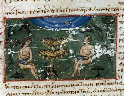 Original fishing from Codex de l