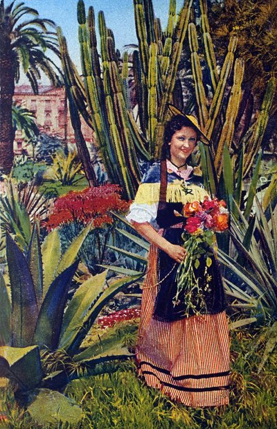 Nicoise. Postcard Around 1930 by Unknown Artist