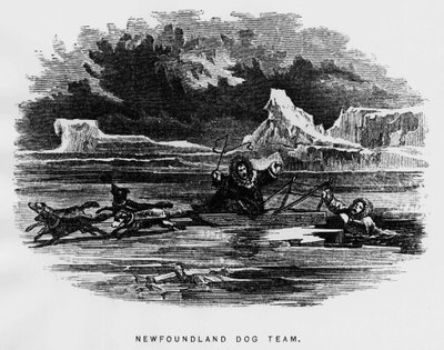 North pole: sled dog hovering a man falls through the ice - Elisha Kent Kane, Arctic Explorations in the years 1853-1855, Philadelphia, Childs and Peterson by Unknown artist