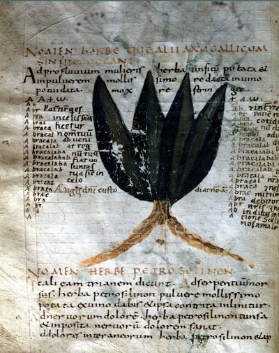 Page of the manuscript of Apuleius, 