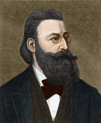 Portrait of Ludwig Anzengruber, Austrian writer. by Unknown artist
