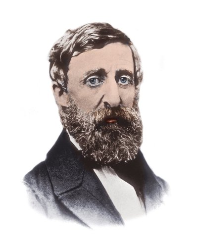 Portrait of Henry David Thoreau - American essayist, poet, philosopher, abolitionist, naturalist, tax resister, development critic, surveyor, and historian by Unknown artist
