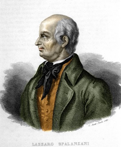 Portrait of Lazzaro Spallanzani, Italian Biologist (1729 - 1799) by Unknown artist