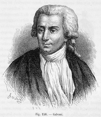 Portrait of Luigi Galvani, Italian physician and physicist (1737 - 1798) - in 