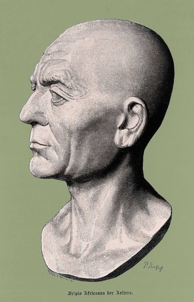 Portrait of Scipio the African, general and Roman statesman. by Unknown artist