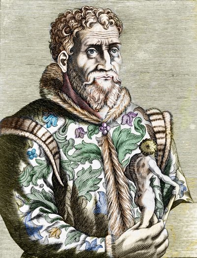 Portrait of the Italian painter Michelangelo Buonarroti known as Michelangelo by Unknown artist