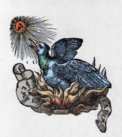 Representation of a Phoenix, Legendary Bird Reborn from Its Ashes. Engraving of the 19th Century by Unknown artist