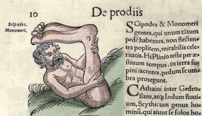 Representation of a Sciapod monster Engraving from 