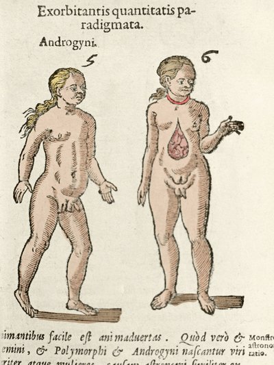 Representation of an androgynous and a hermaphrodite. Plate taken from 