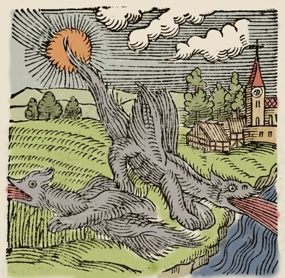Representation of basilisks in flight burning wheat fields. Engraving from 