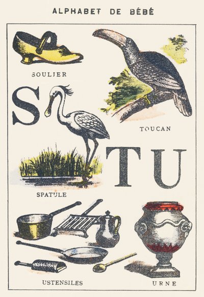 S T U: shoe, spatula, toucan, utensils, urn by Unknown artist