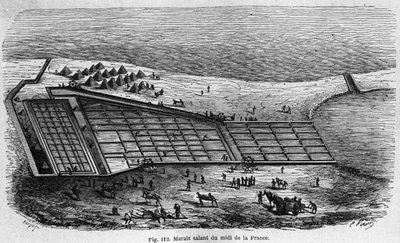 Salt production: view of a salt marsh in the south of France, engraving of 1880 by Unknown artist