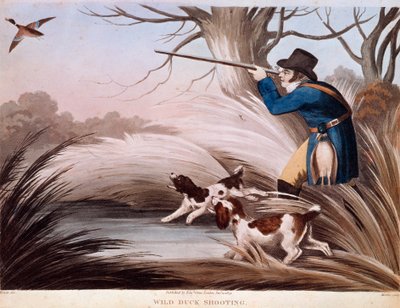 Scene of Duck Hunting in England by Unknown artist