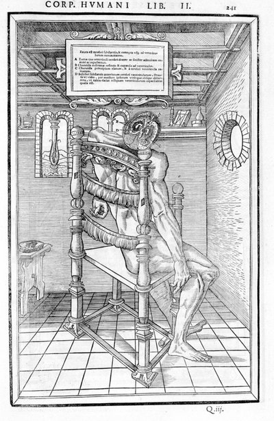 Skull Cut. Anatomical Board of De dissectione partium corporis humani lbri tres by Carlo Stefano Riverio, Paris 1545 by Unknown artist