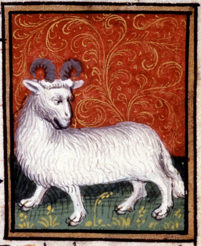 The Aries. Miniature of a Horoscope. 15th Century Manuscript. Bibl. Trivulziana, Milan by Unknown artist