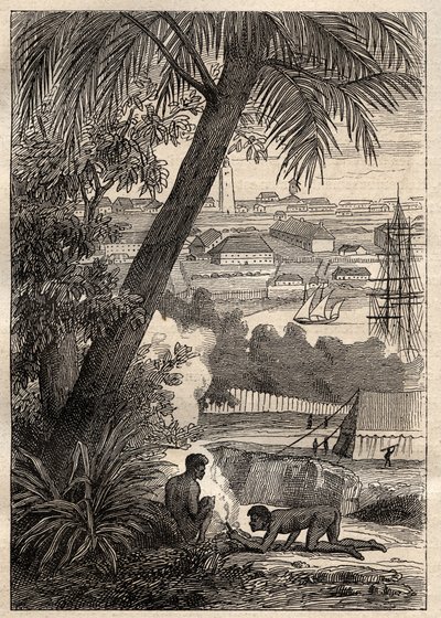 The Expedition to the Southern Lands by Nicolas Baudin: View of Sydney by Unknown artist
