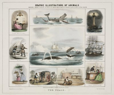 The Whale, c. 1845 by Unknown artist