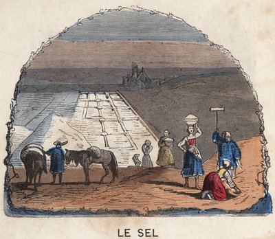 The Collection of Salt. 19th century illustration. Bianchetti Collection by Unknown artist