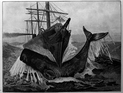 The Collision Between a Boat and a Sleeping Whale by Unknown artist