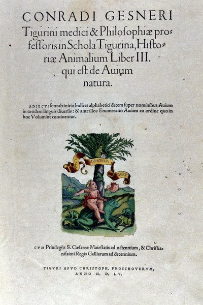 The frontispiece of the third volume by Historia Animalium by Conrad Gesner by Unknown artist