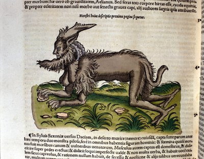 The manticore from the Historia Animalium by Conrad Gesner, Tiguri 1560. Biblioteca nazionale Braidense. Milan by Unknown artist