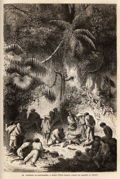 The Preparation of a Meal in the Caravaya Valley by Unknown artist