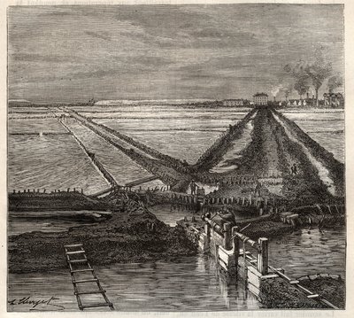 The salt marsh of Giraud in the Camargue, view taken from the service canal - engraving in 