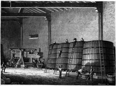 Vats and press used in the wine cellars of Burgundy Clos Vougeot. Engraving of the 19th century by Unknown artist