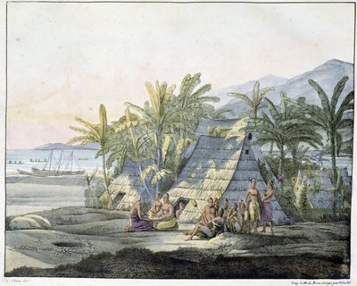 View in the Sandwich Islands - in Views and Landscapes of the Equinoxial Regions, Collected in a Journey Around the World, Early 19th Century by Unknown artist