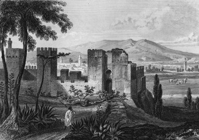 View of the enclosure of Tlemsen (or Tilimsen) in Algeria in the 19th century, in 