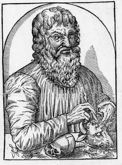Portrait of Hippocrates (460- around 377 BC), Greek doctor by Unknown artist