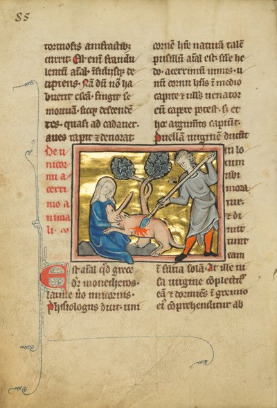 A Unicorn with its Head in the Lap of a Maiden by Unknown artist