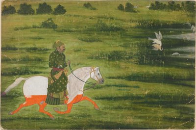 A Mounted Man Hunting Birds with a Falcon by Unknown artist